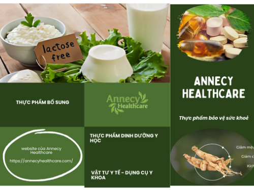 Annecy Healthcare – Technology and Humane Medicine for the Future