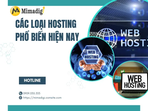 Popular Types of Hosting Today
