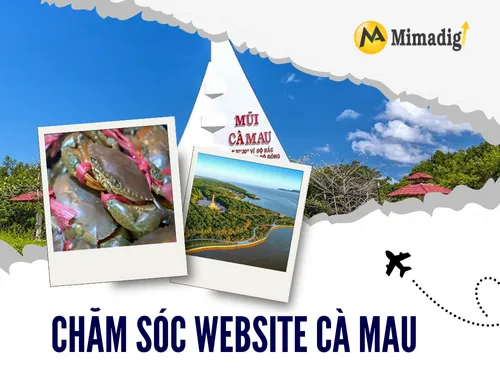 Chăm sóc website Cà Mau