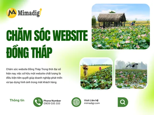 Chăm sóc website Đồng Tháp