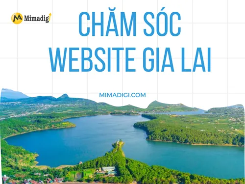 Website Care in Gia Lai