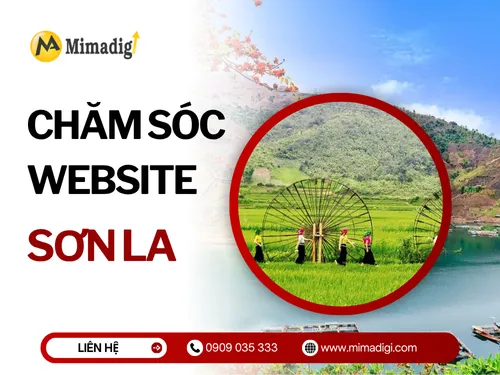 Chăm sóc website Sơn La