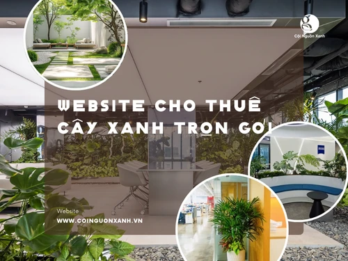 Cội Nguồn Xanh – Vì tương lai bền vững của hành tinh xanh