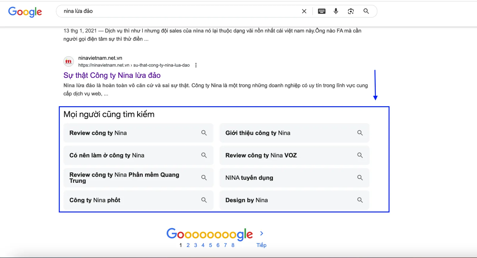 NINA Scam? A Multi-Dimensional Perspective on NINA Web Design Company
