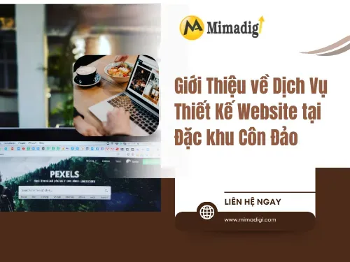 Website Design in Con Dao Special Zone, Ho Chi Minh City