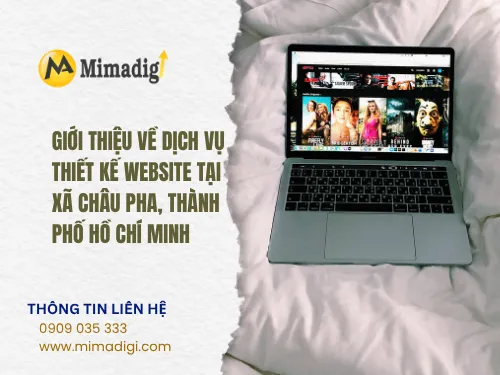 Thiết kế website Xã Châu Pha Thành phố Hồ Chí Minh