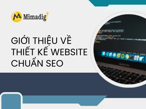 SEO-Friendly Website Design on Demand