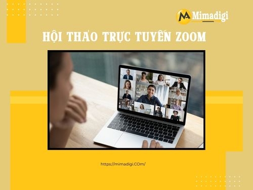 Zoom Online Webinar