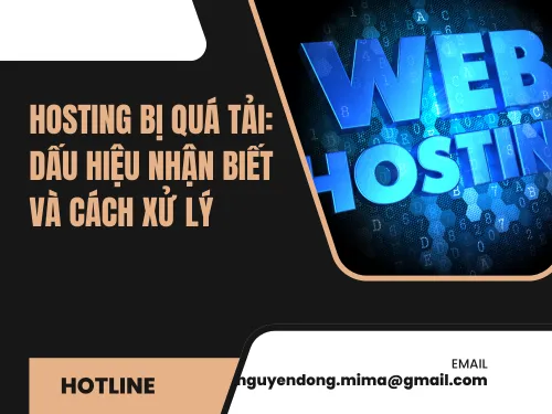 Hosting bị quá tải: Dấu hiệu nhận biết và cách xử lý