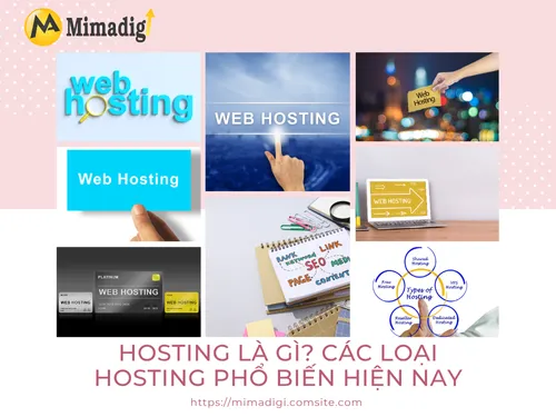 Hosting là gì? Các loại hosting phổ biến hiện nay