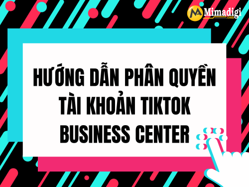 Guide to Granting Permissions for TikTok Business Center Accounts