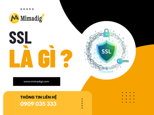 SSL là gì? Tại sao website cần chứng chỉ bảo mật SSL?