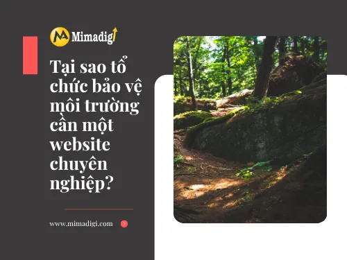 Environmental Protection Organizations Website Design