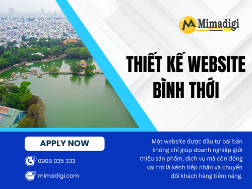 Binh Thoi Website Design