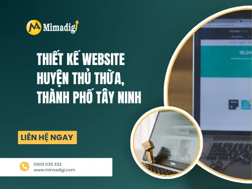 Website Design in Thu Thua District, Tay Ninh City