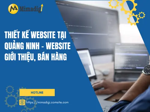 Website Design in Quang Ninh – Introduction and Sales Website