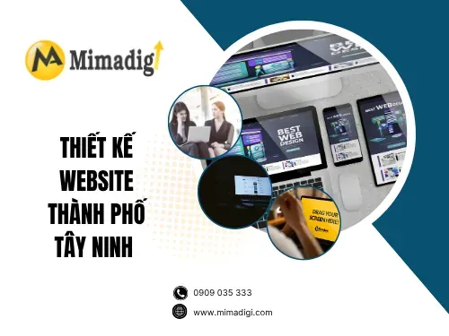 Website Design in Tay Ninh City