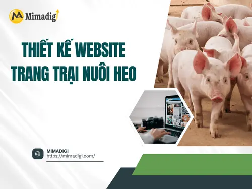 Pig Farm Website Design