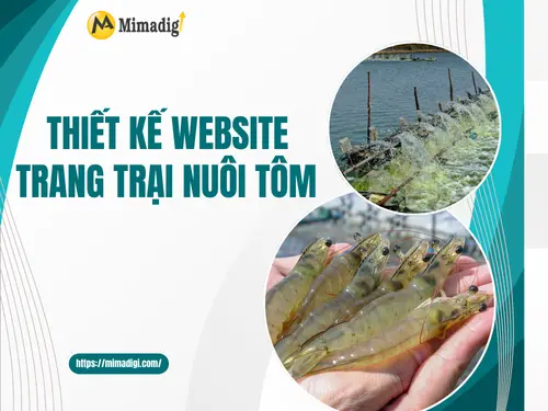 Shrimp Farm Website Design
