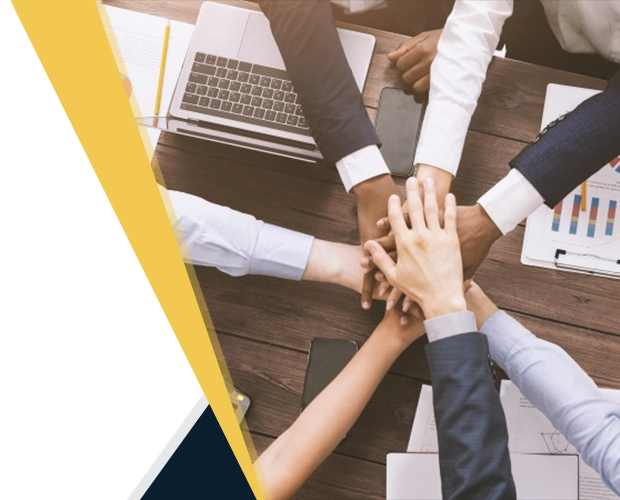 Mima Digital Marketing Agency